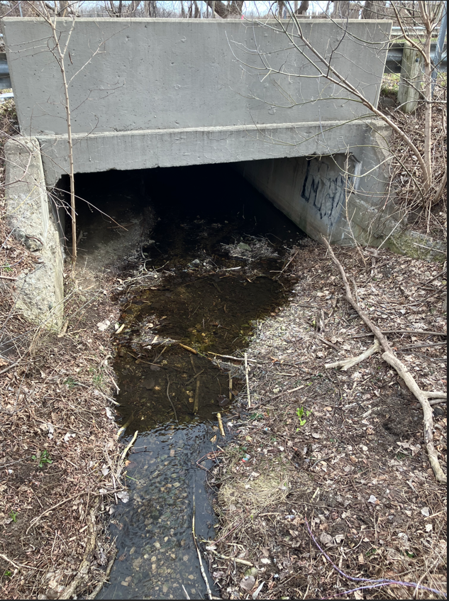 Commerce Road culvert between Green Lake and South Lake, just west of Green Lake Road