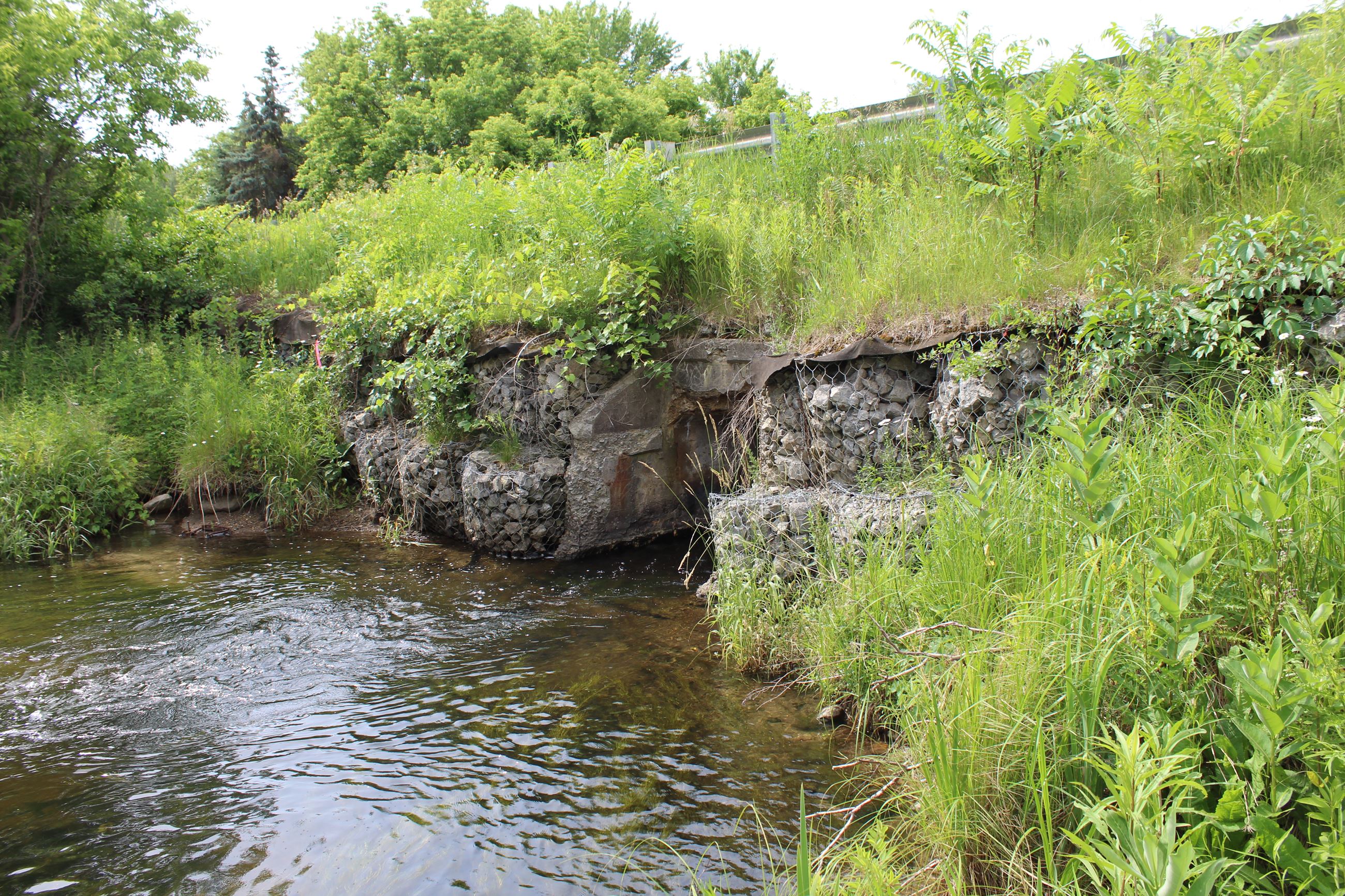 Northside of Milford Rd. culvert over Buckhorn Creek just before White Rd.
